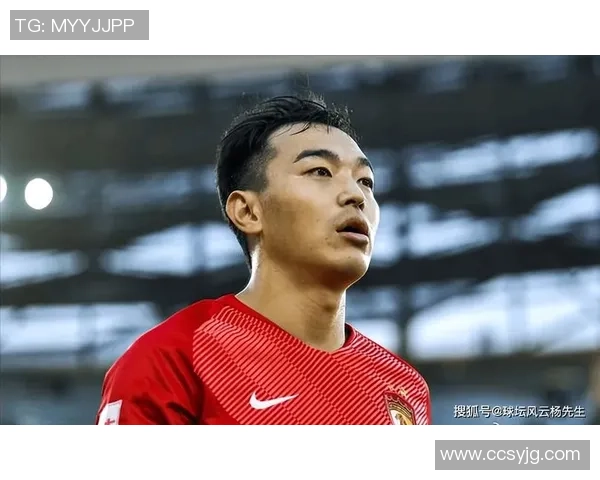 《从绿茵场到人生新篇章：退役足球明星的真实故事与心路历程》