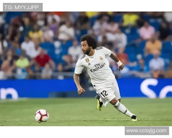 哪些著名足球运动员属羊盘点球星出生年份与他们的绿茵成就 哪些著名足球运动员属羊盘点球星出生年份与他们的绿茵成就