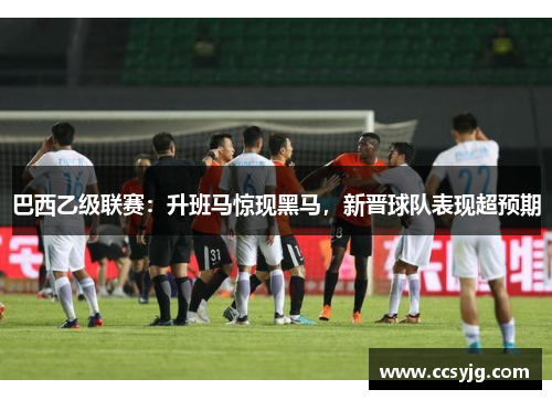 巴西乙级联赛：升班马惊现黑马，新晋球队表现超预期