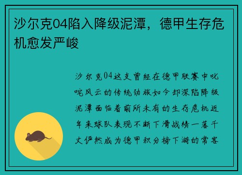 沙尔克04陷入降级泥潭，德甲生存危机愈发严峻